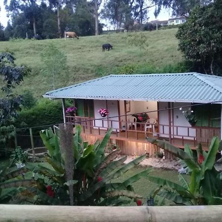 Hotel Selva Verde 살렌토 외부 사진