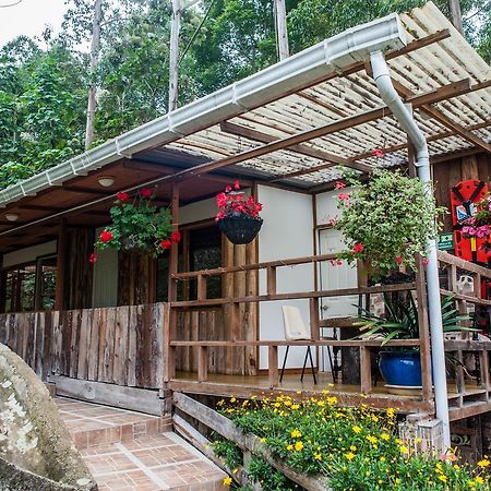 Hotel Selva Verde 살렌토 외부 사진