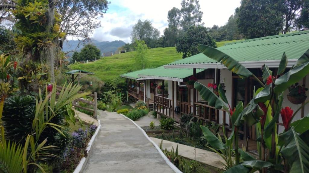 Hotel Selva Verde 살렌토 외부 사진