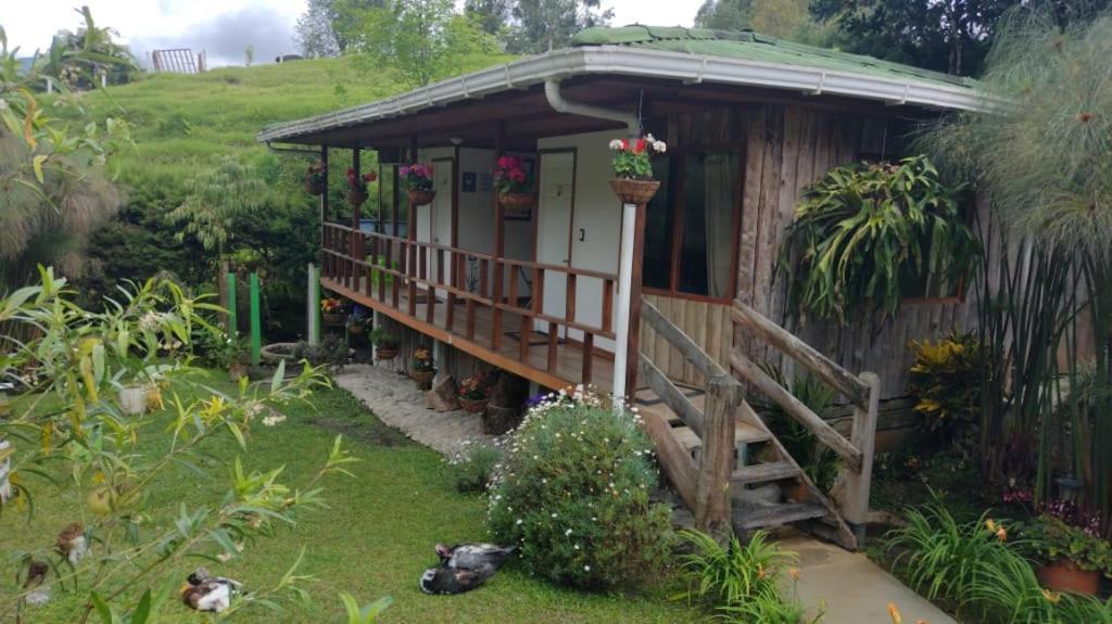 Hotel Selva Verde 살렌토 외부 사진