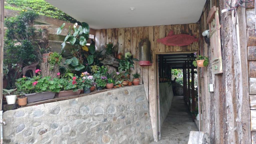 Hotel Selva Verde 살렌토 외부 사진