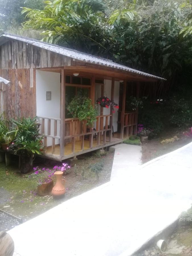 Hotel Selva Verde 살렌토 외부 사진