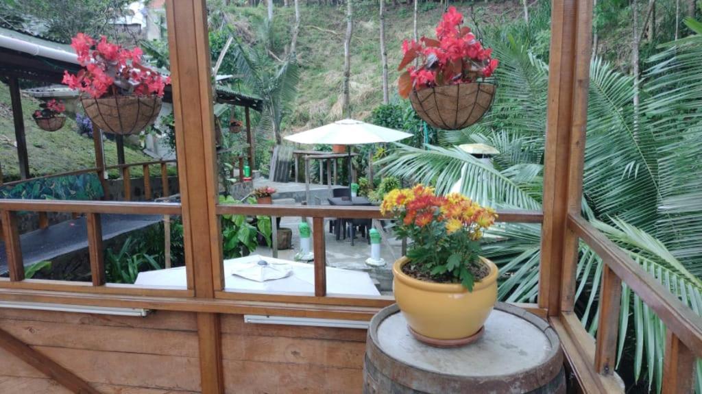 Hotel Selva Verde 살렌토 외부 사진