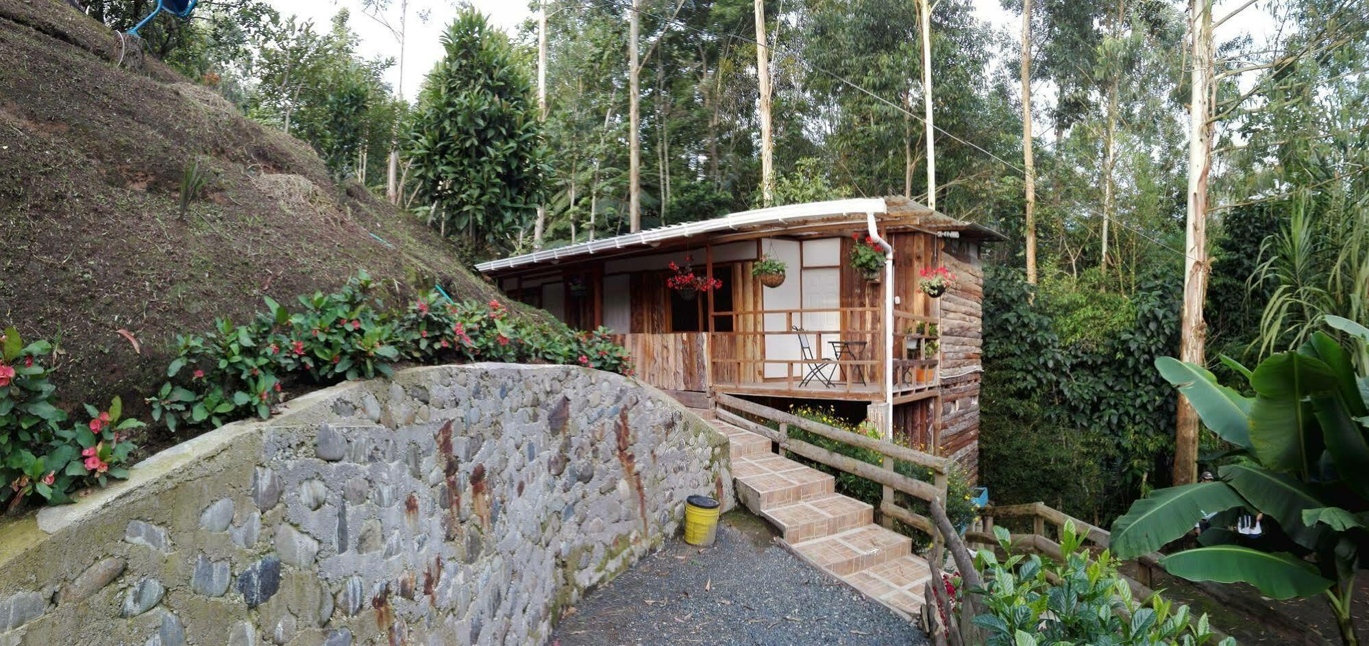 Hotel Selva Verde 살렌토 외부 사진