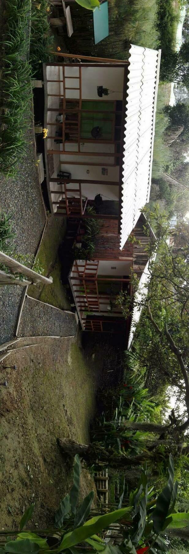 Hotel Selva Verde 살렌토 외부 사진